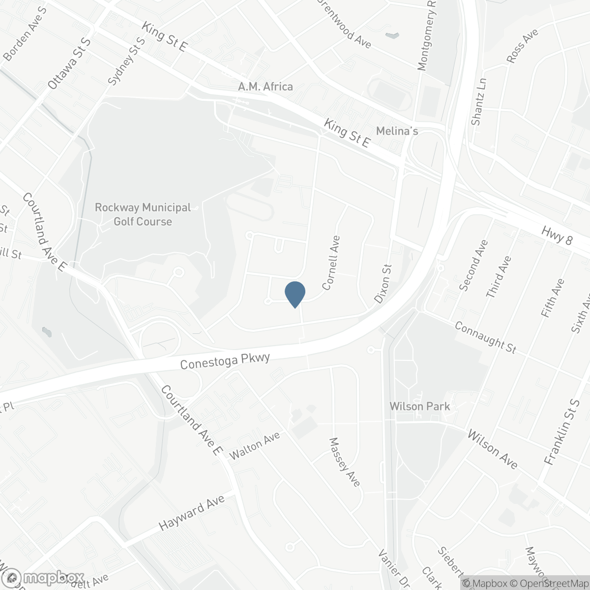 133 CORNELL AVENUE, Kitchener, Ontario N2G 3E5